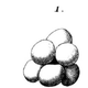 Illustration for article titled Meet The First Man To Put Beer Under A Microscope